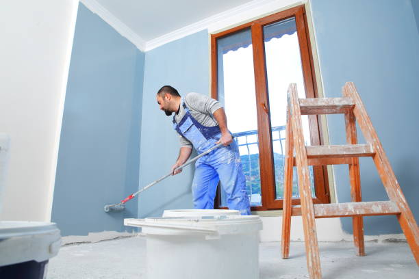 Mold Documentation for Insurance Claims in Niwot, CO