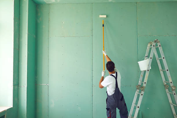 Reliable Niwot, CO Mold Removal Solutions