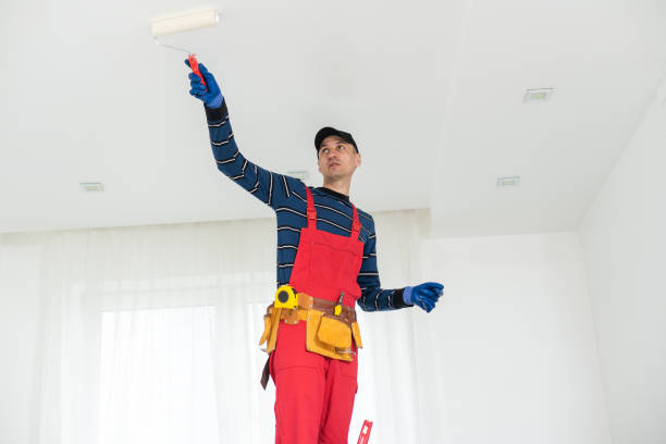 Best Mold Remediation for Rental Properties  in Niwot, CO