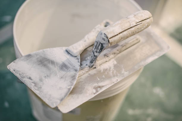 Best Basement Mold Removal  in Niwot, CO