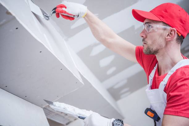 Best Emergency Mold Remediation  in Niwot, CO